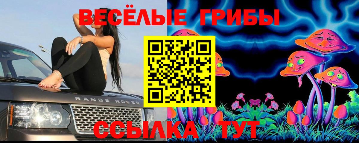 Галлюциногенные грибы Psilocybine cubensis Кириши